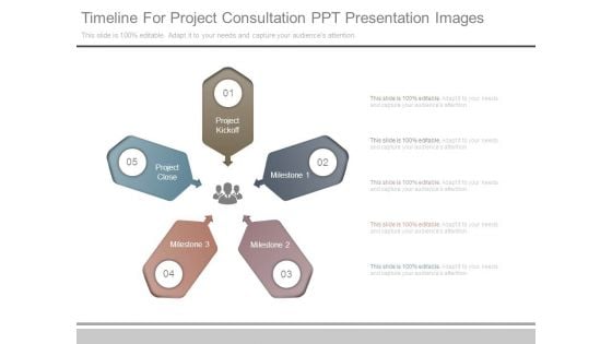 Timeline For Project Consultation Ppt Presentation Images