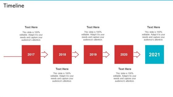 Timeline Professional PDF