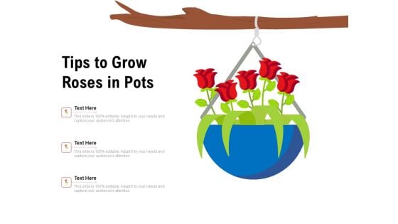 Tips To Grow Roses In Pots Ppt PowerPoint Presentation Show Example PDF