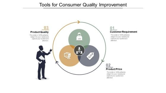 Tools For Consumer Quality Improvement Ppt PowerPoint Presentation Infographic Template Model