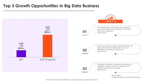 Top 3 Growth Opportunities In Big Data Business Download PDF