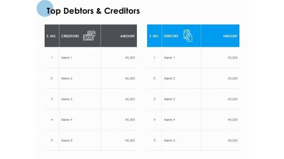 Top Debtors And Creditors Ppt PowerPoint Presentation Infographics Slide Download