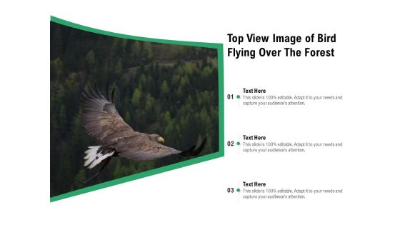 Top View Image Of Bird Flying Over The Forest Ppt PowerPoint Presentation Gallery Example PDF