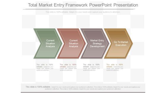 Total Market Entry Framework Powerpoint Presentation