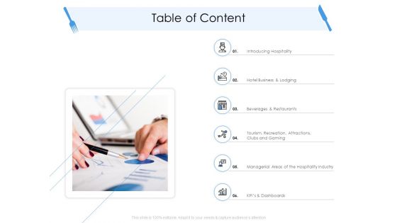 Tourism And Hospitality Industry Table Of Content Ppt Icon Structure PDF