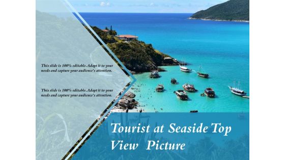 Tourist At Seaside Top View Picture Ppt PowerPoint Presentation Ideas Picture PDF