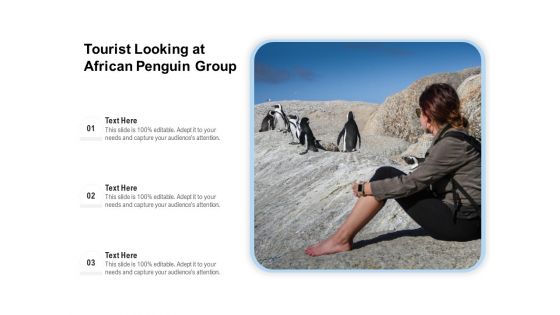 Tourist Looking At African Penguin Group Ppt PowerPoint Presentation Gallery Example Introduction PDF
