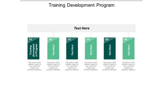 Training Development Program Ppt PowerPoint Presentation Professional Graphics Pictures Cpb