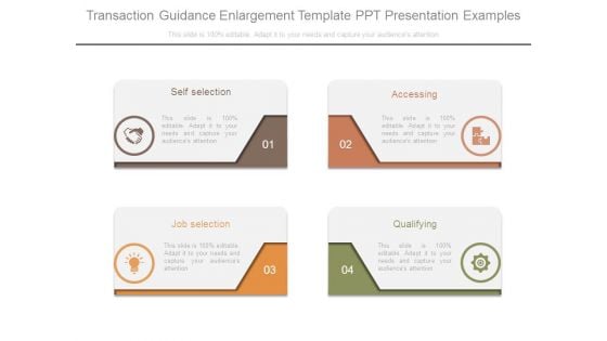 Transaction Guidance Enlargement Template Ppt Presentation Examples