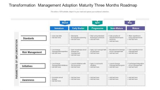 Transformation Management Adoption Maturity Three Months Roadmap Designs