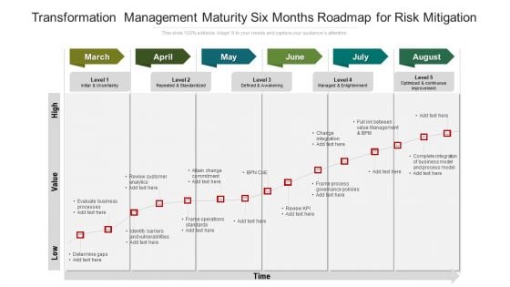 Transformation Management Maturity Six Months Roadmap For Risk Mitigation Elements