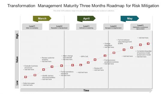 Transformation Management Maturity Three Months Roadmap For Risk Mitigation Summary