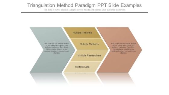 Triangulation Method Paradigm Ppt Slide Examples