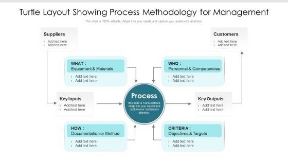 Turtle Layout Showing Process Methodology For Management Ppt PowerPoint Presentation Model Mockup PDF