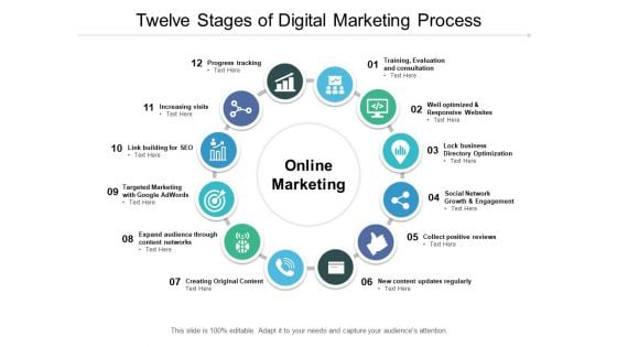 Twelve Stages Of Digital Marketing Process Ppt PowerPoint Presentation Model Portrait