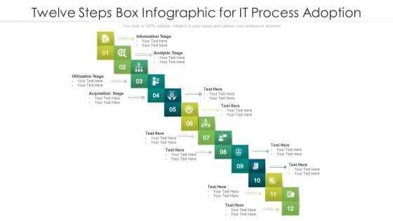 Twelve Steps Box Infographic For IT Process Adoption Ppt PowerPoint Presentation File Show PDF Twelve Steps Box Infographic For IT Process Adoption Ppt PowerPoint Presentation File Show PDF