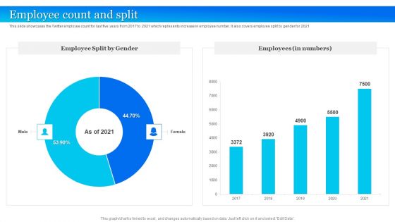 Twitter Company Summary Employee Count And Split Download PDF