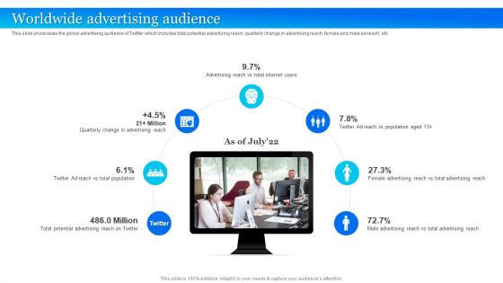 Twitter Company Summary Worldwide Advertising Audience Pictures PDF