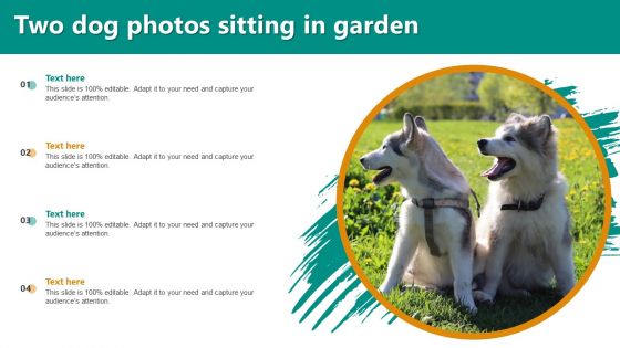 Two Dog Photos Sitting In Garden Ppt PowerPoint Presentation File Display PDF