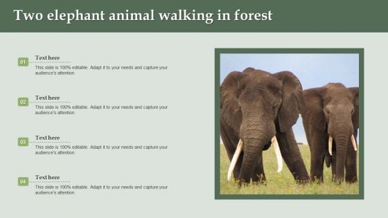 Two Elephant Animal Walking In Forest Ppt PowerPoint Presentation Outline Styles PDF