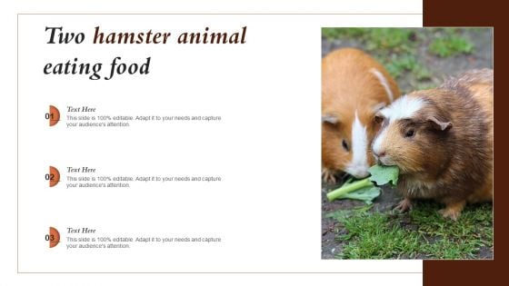 Two Hamster Animal Eating Food Ppt PowerPoint Presentation Gallery Guidelines PDF