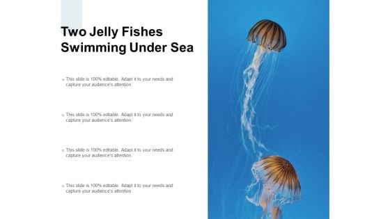 Two Jelly Fishes Swimming Under Sea Ppt PowerPoint Presentation Professional Portfolio