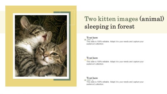 Two Kitten Images Animal Sleeping In Forest Ppt PowerPoint Presentation Gallery Brochure PDF