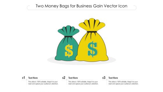 Two Money Bags For Business Gain Vector Icon Ppt PowerPoint Presentation Gallery Template PDF