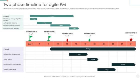 Two Phase Timeline For Agile PM Infographics PDF