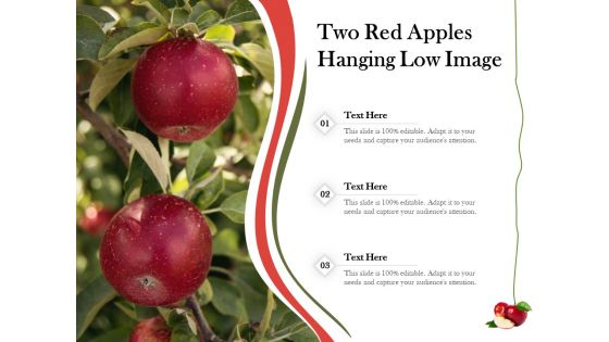 Two Red Apples Hanging Low Image Ppt PowerPoint Presentation Gallery Templates PDF