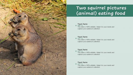 Two Squirrel Pictures Animal Eating Food Ppt Inspiration Slide PDF