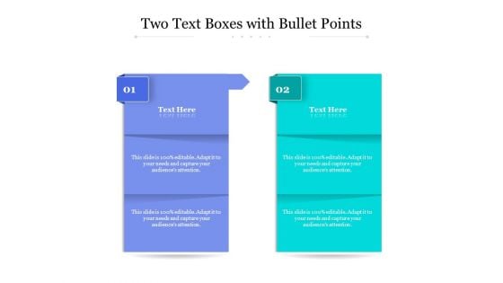 Two Text Boxes With Bullet Points Ppt PowerPoint Presentation Pictures Design Ideas PDF