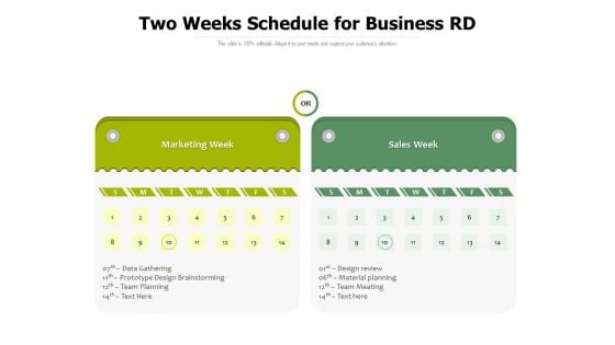 Two Weeks Schedule For Business RD Ppt PowerPoint Presentation Model Graphics Example PDF