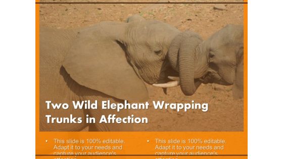 Two Wild Elephant Wrapping Trunks In Affection Ppt PowerPoint Presentation Inspiration Slides PDF