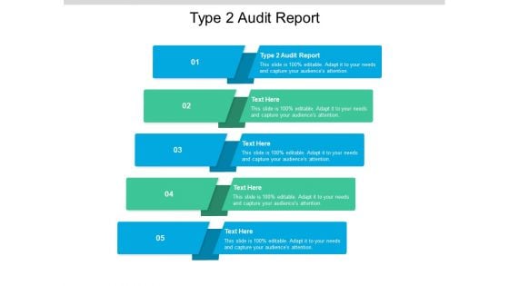 Type 2 Audit Report Ppt PowerPoint Presentation Model Styles Cpb Pdf