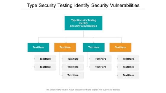 Type Security Testing Identify Security Vulnerabilities Ppt PowerPoint Presentation Inspiration Themes Cpb