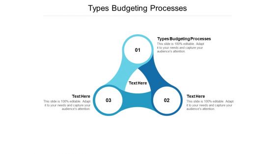 Types Budgeting Processes Ppt PowerPoint Presentation Diagram Ppt Cpb