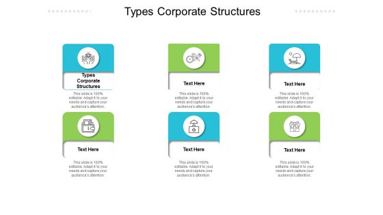 Types Corporate Structures Ppt PowerPoint Presentation Model Diagrams Cpb Pdf