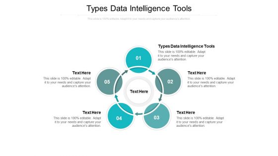 Types Data Intelligence Tools Ppt PowerPoint Presentation Pictures Icon Cpb