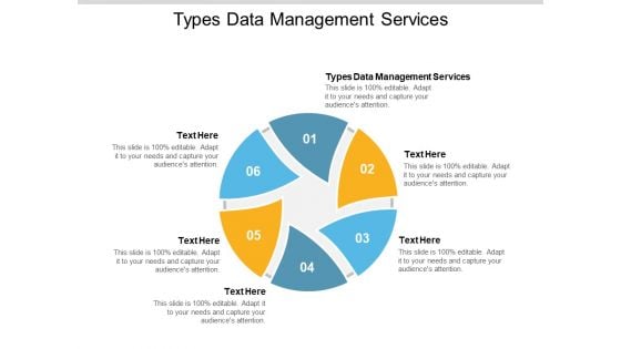 Types Data Management Services Ppt PowerPoint Presentation Outline Graphics Template Cpb Pdf