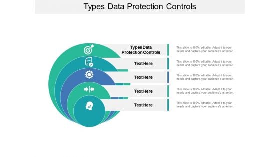 Types Data Protection Controls Ppt PowerPoint Presentation Ideas Summary Cpb Pdf