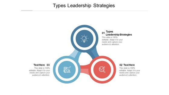 Types Leadership Strategies Ppt PowerPoint Presentation Gallery Layout Cpb