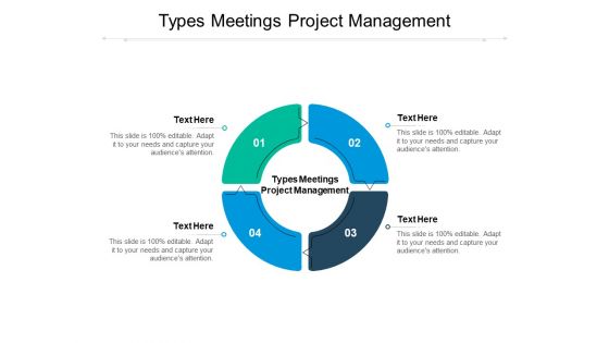 Types Meetings Project Management Ppt PowerPoint Presentation Infographics Example Introduction Cpb Pdf