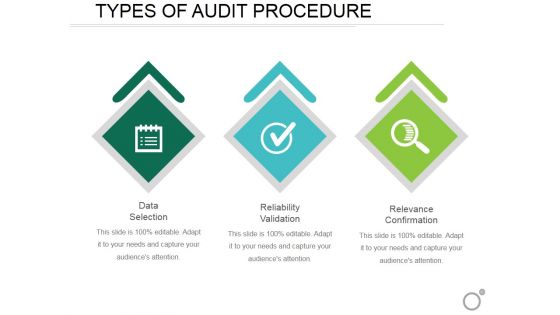 Types Of Audit Procedure Ppt PowerPoint Presentation Portfolio Example