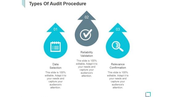 Types Of Audit Procedure Ppt PowerPoint Presentation Show