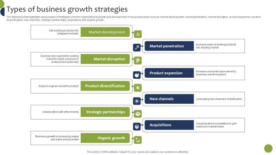 Types Of Business Growth Strategies Graphics PDF