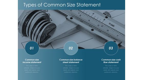 Types Of Common Size Statement Ppt Powerpoint Presentation Pictures Examples