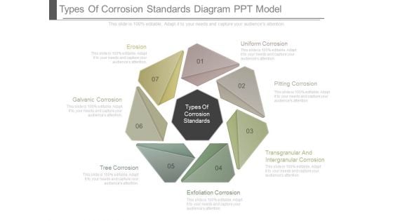 Types Of Corrosion Standards Diagram Ppt Model