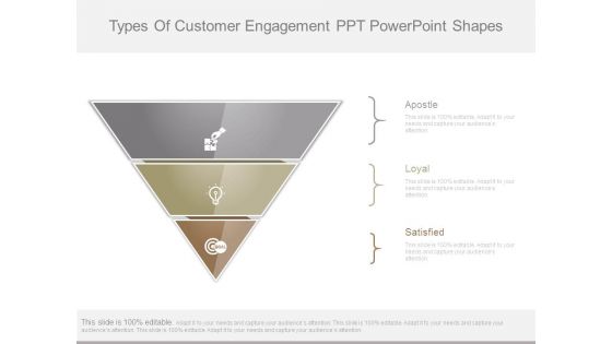 Types Of Customer Engagement Ppt Powerpoint Shapes