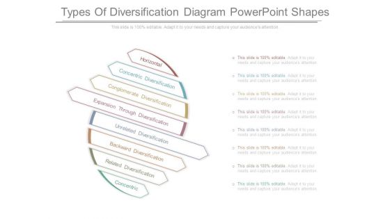 Types Of Diversification Diagram Powerpoint Shapes